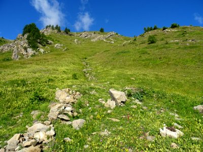 Il faut remonter la prairie dans ce petit thalweg, sur la … 