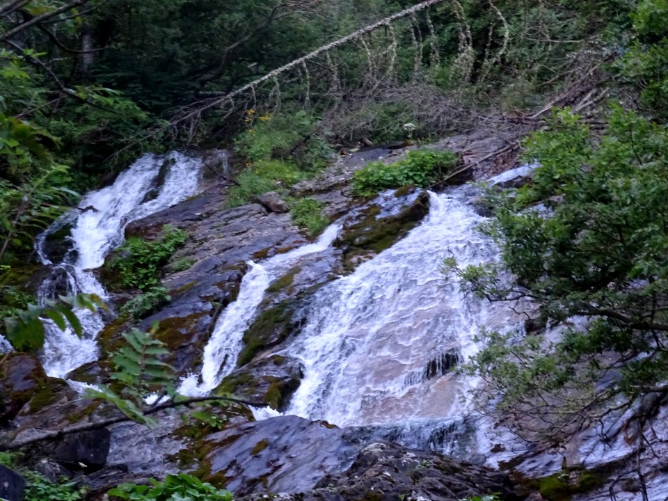 Au niveau du parking des Charbonières, torrent de la Lauze… 