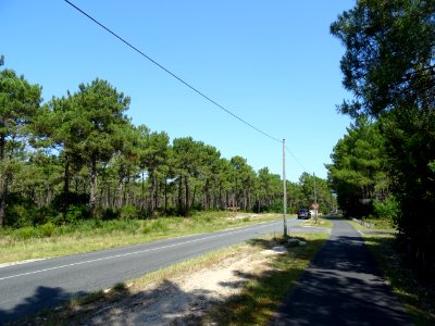 DSC05127 