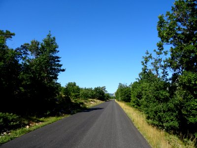 Sur la route entre le col de la Sine et le col du Castella… 