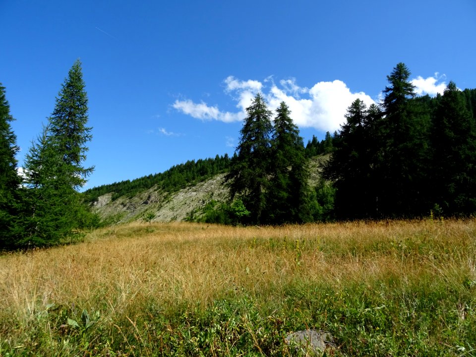 DSC06087 