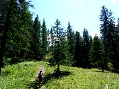 DSC06045 