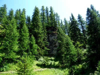 DSC06017 
