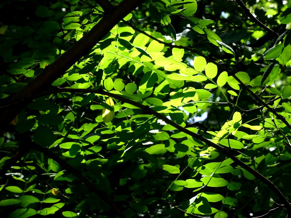 Jeu de lumière ... entre La Roque-en-Provence et Conségude… 