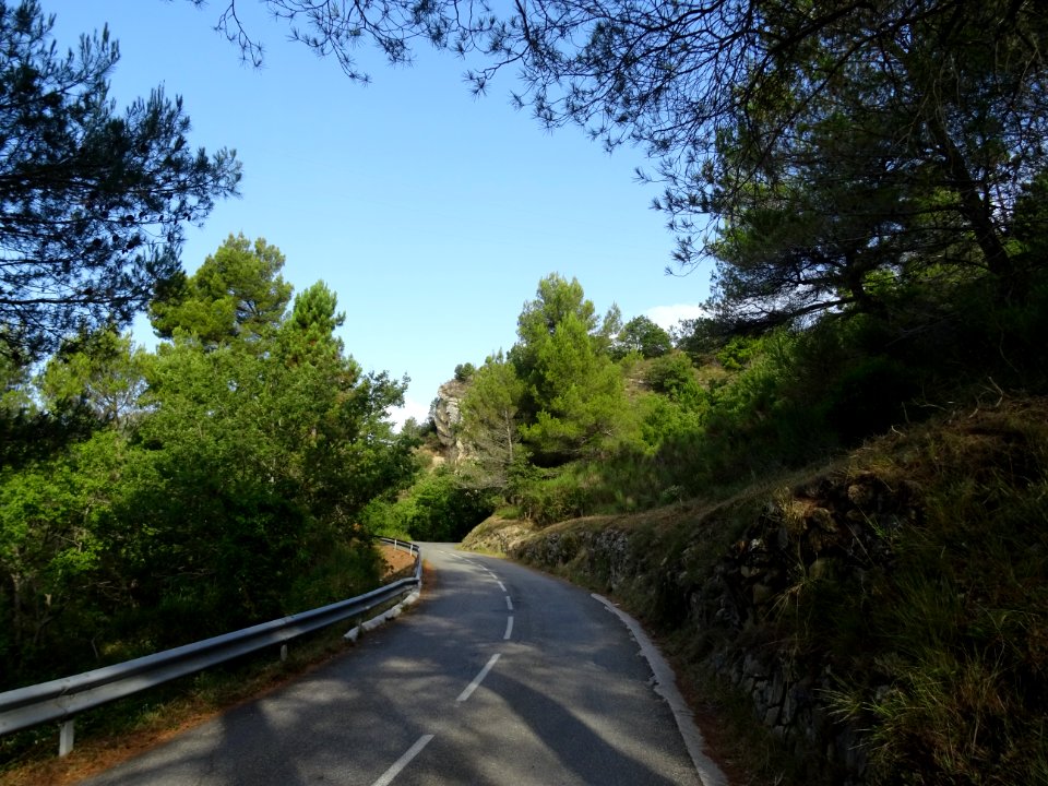 DSC07883 