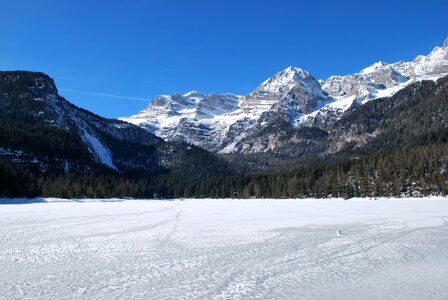 Winter snow trentino photo