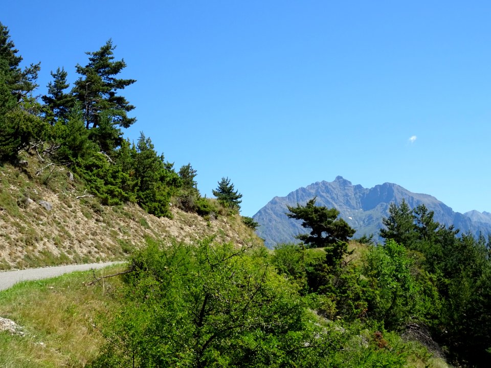 Dans la montée au col du Noyer, Hautes-Alpes 