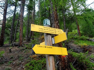 Retour au panneau indicateur déjà atteint ce matin 