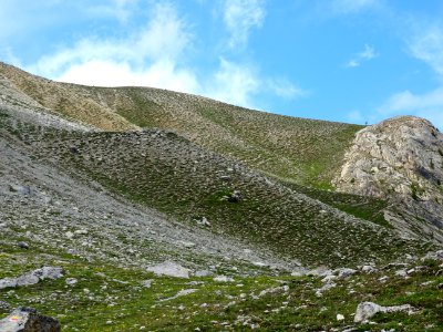 Le sentier pour monter vers le Pic d'Escreins ... prend so… 