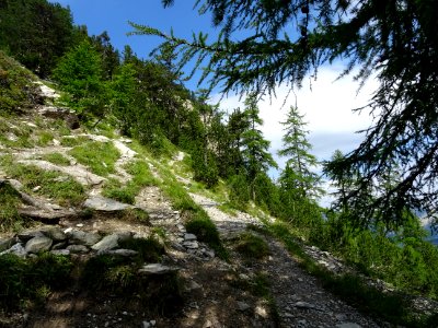Le sentier remonte assez fort vers la Crête d'Andreveysson… 