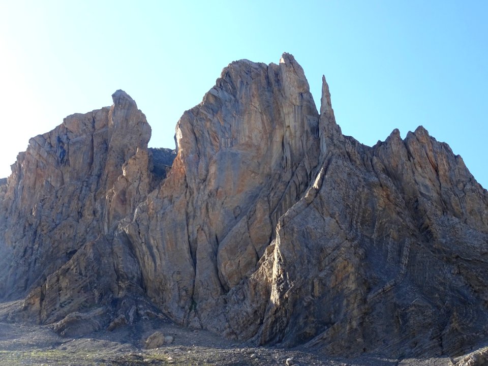 Dans le Vallon Claus, les Aspaturas ... habitat des bouque… 