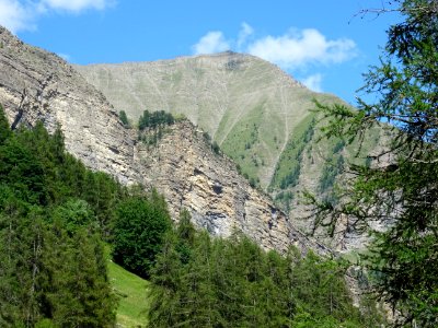 DSC07384 
