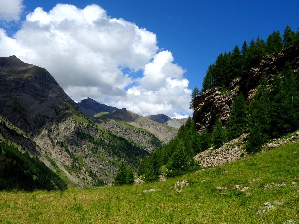 Dans la descente du vallon du Rabioux 