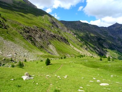 Dans la longue descente du vallon du Rabioux 