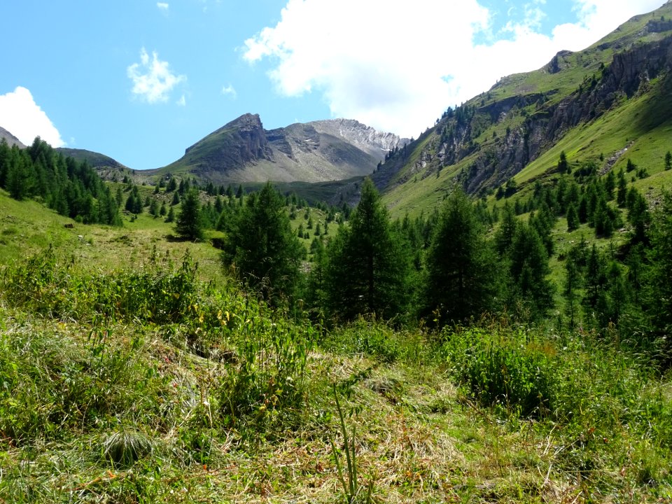 Regard arrière vers le vallon du Rabioux, que je viens de … 