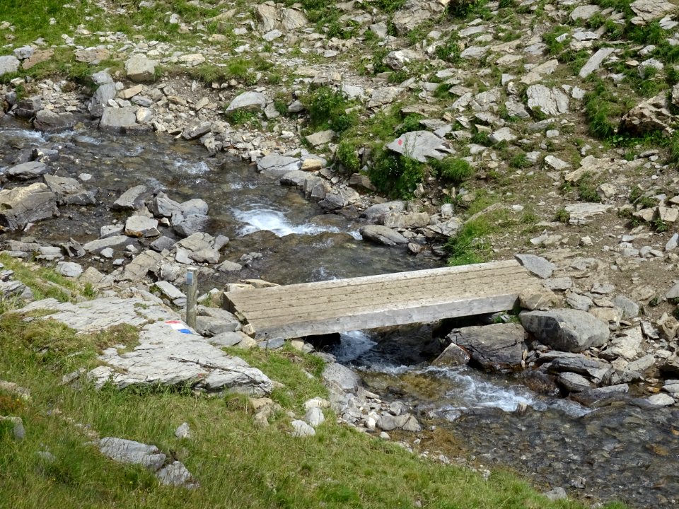 Petite passerelle en bois sur le torrent du Rabioux 