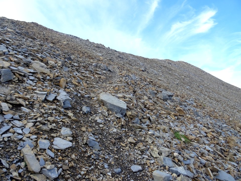 Sur l'arête de la Dent, dans l'immense pierrier, une trace… 