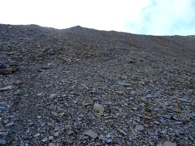 Sur l'arête de la Dent, dans l'immense pierrier, une trace… 
