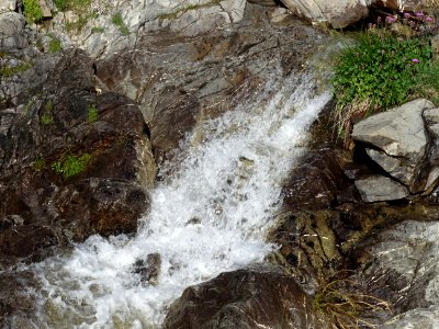 Torrent de la Dent 