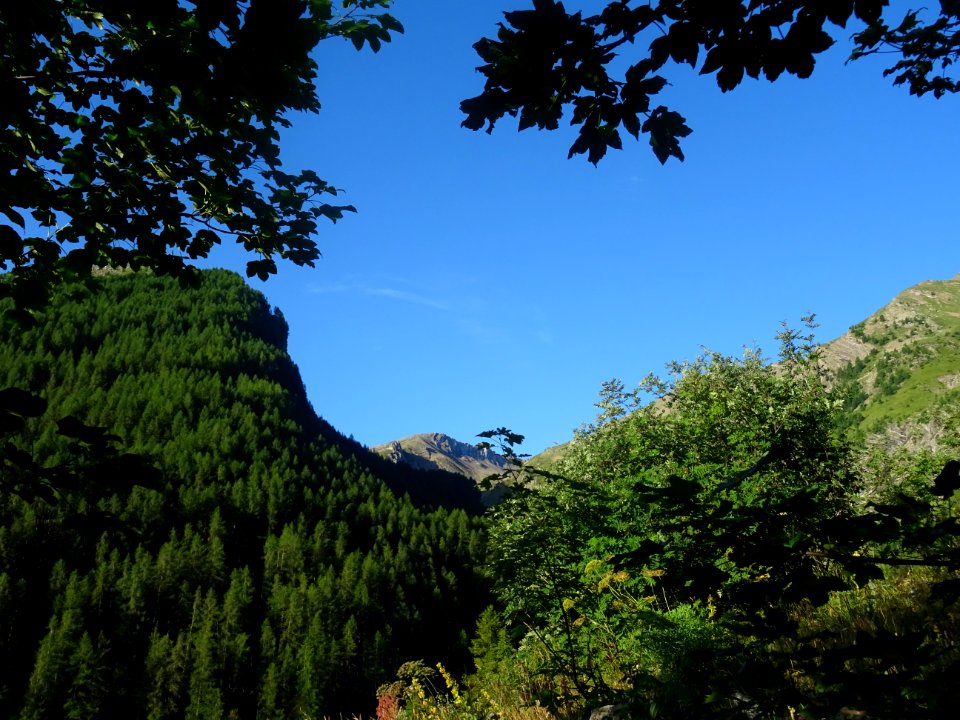 Tout à gauche, la Tête de la Cabane 