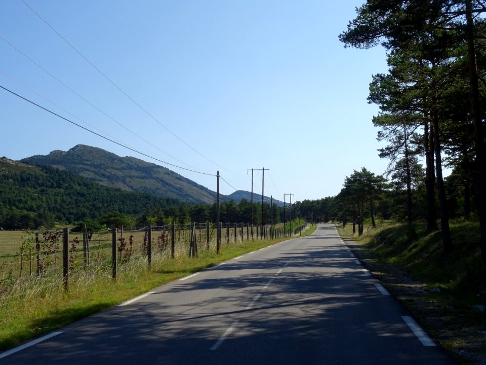 Sur la route qui longe la Réserve animalière des Monts d'A… 