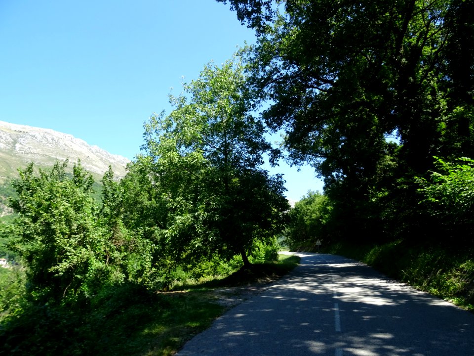 Sur la route, dans la montée vers Cipières, Alpes-Maritime… 