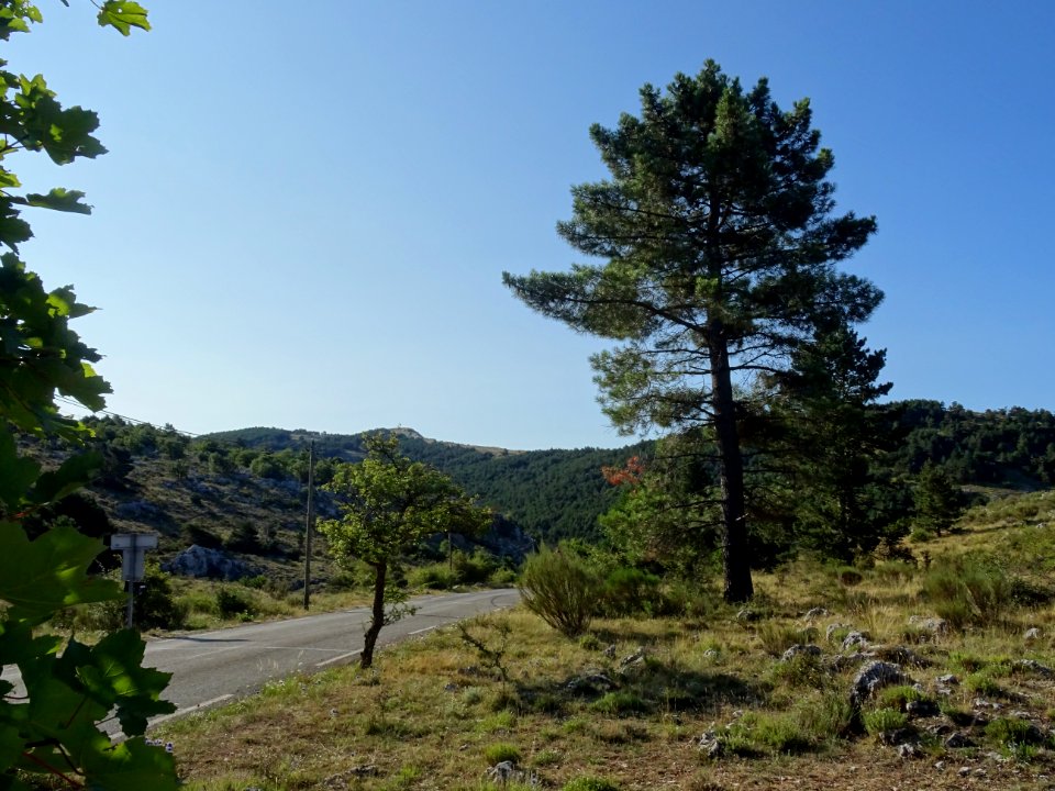 Col du Ferrier, 1041 m, Alpes-Maritimes 