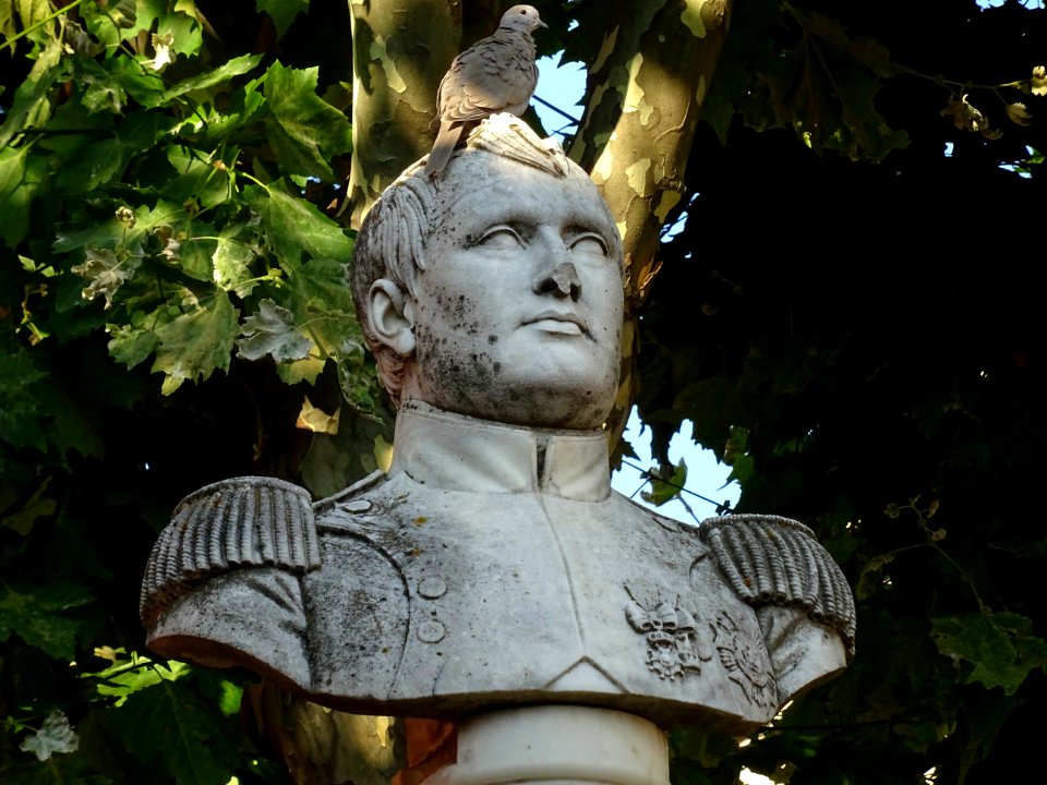Buste de Napoléon, Saint-Vallier-de-Thiey, Alpes-Maritimes… 