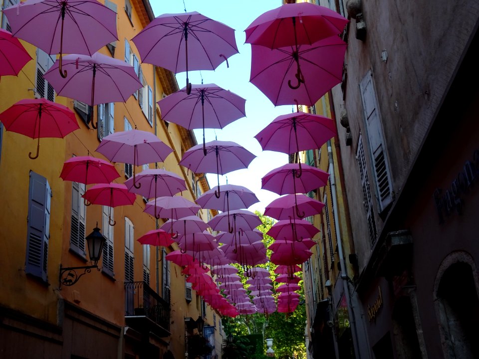 Des parapluies roses dans les rues du centre, Grasse, Alpe… 