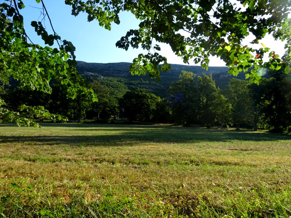 Prairie près du Col du Pilon (782m), Alpes-Maritimes 