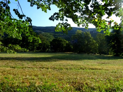 Prairie près du Col du Pilon (782m), Alpes-Maritimes 