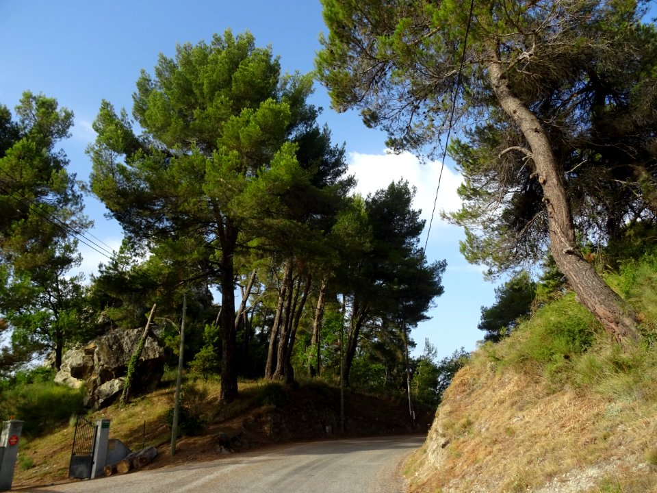 Col de Rostan, 625m, Alpes-Maritimes 