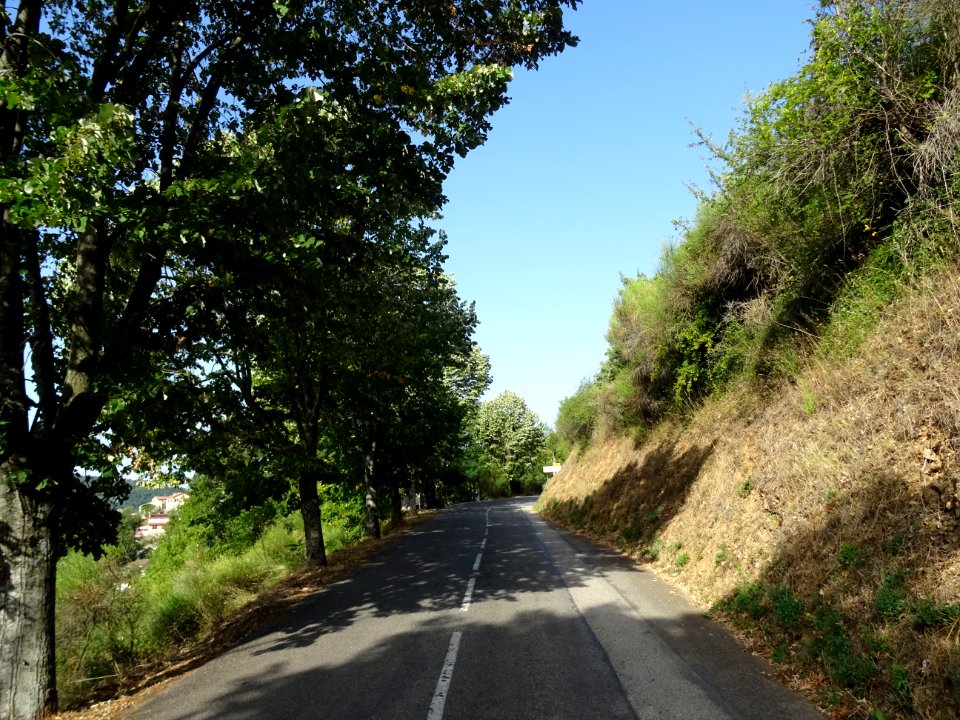 DSC07893 