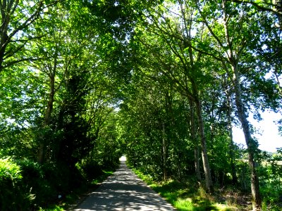 Sur la route entre Saint-Benoît-des-Ombres et Saint-George… 