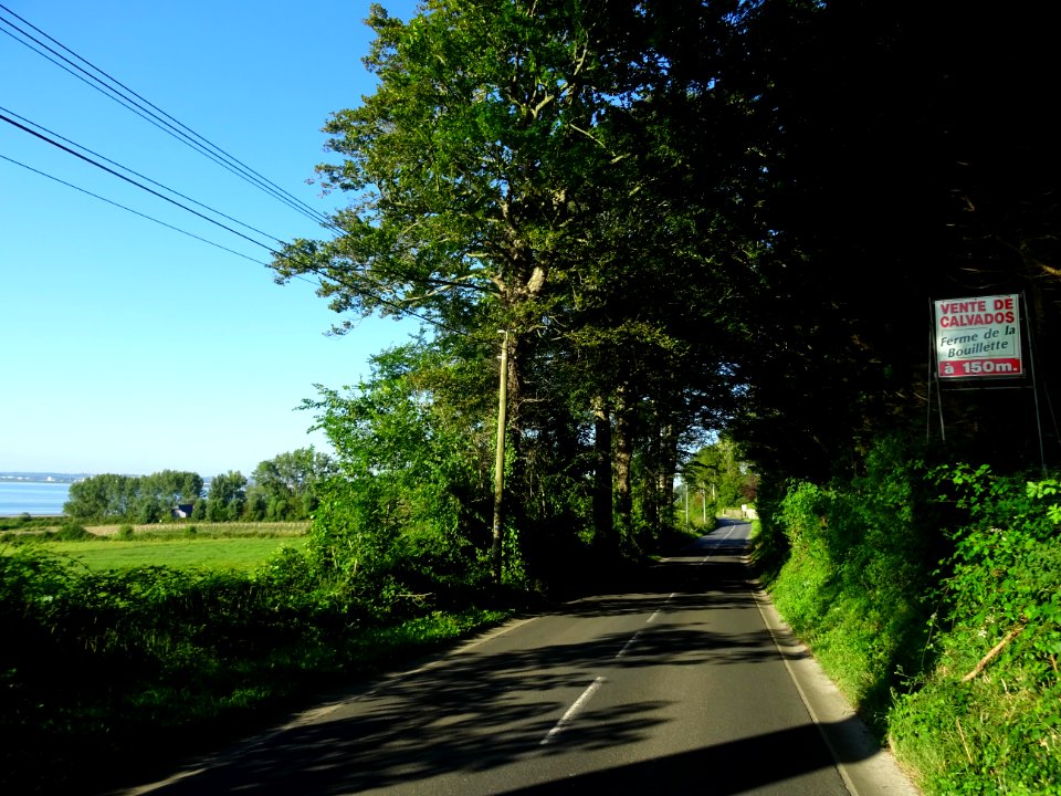Sur la route entre Pennedepie et Vasouy, Calvados 