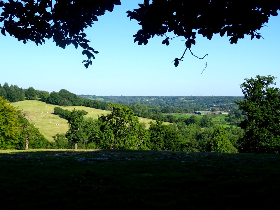 Paysage normand, entre Le Mesnil-sur-Blangy et Vieux-Bourg… 