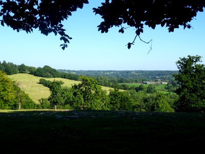Paysage normand, entre Le Mesnil-sur-Blangy et Vieux-Bourg… 