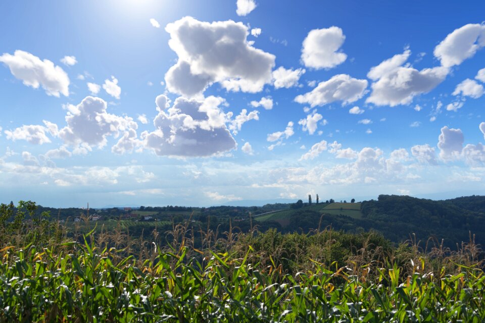 Meadow summer clouds