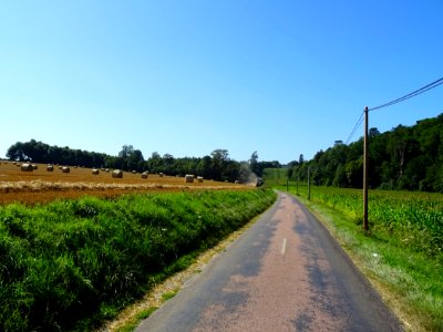 Sur une petite route entre Saint-Benoît-des-Ombres et Sain… 