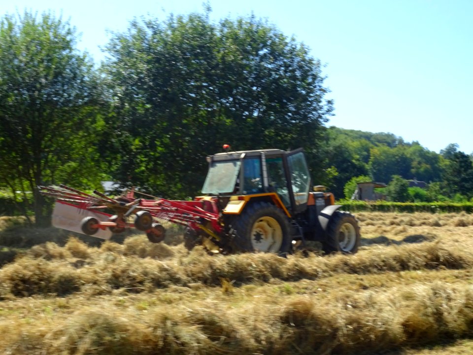Travaux des champs, entre Authou et Livet-sur-Authou, Eure… 