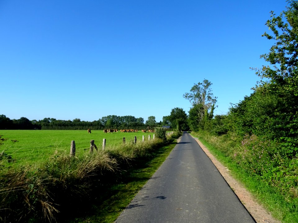 Sur une petite route, après Saint-Gatien-des-Bois, Calvado… 