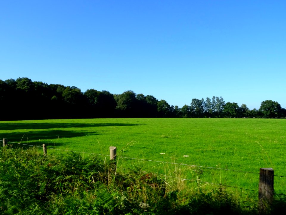 Belle prairie, avant Saint-Gatien-des-Bois, Calvados 