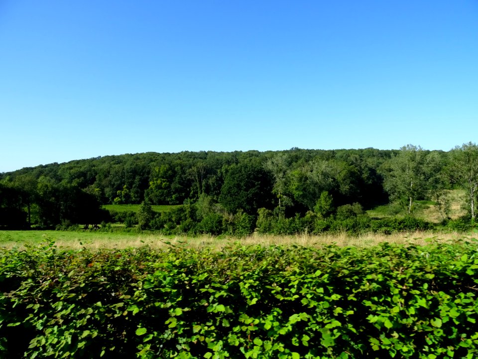 Paysage normand, avant Blangy-le-Château, Calvados 