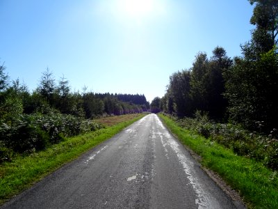 Sur une petite route avant Blangy-le-Château, Calvados 