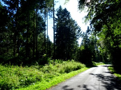 Sur une petite route avant Blangy-le-Château, Calvados 