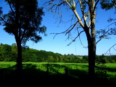 Paysage normand, entre Le Mesnil-sur-Blangy et Vieux-Bourg… 