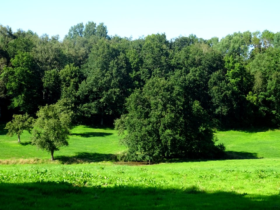 Immense prairie entre Cormeilles, Eure et Blangy-le-Châtea… 