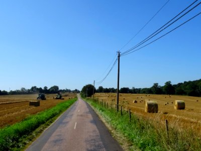 Sur une petite route entre Saint-Benoît-des-Ombres et Sain… 