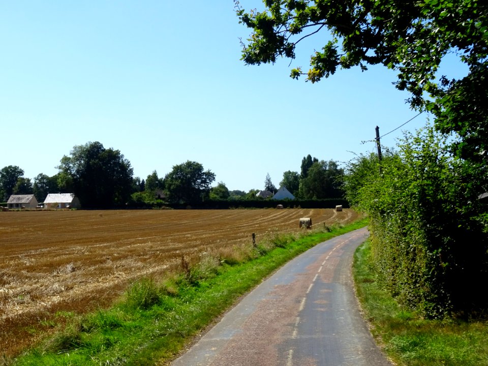 Sur une petite route, entre Livet-sur-Authou et Saint-Beno… 
