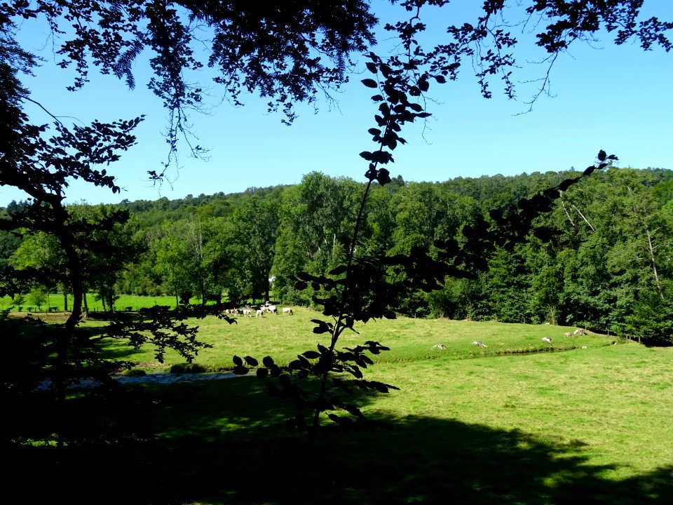 Paysage champêtre, Livet-sur-Authou, Calvados 